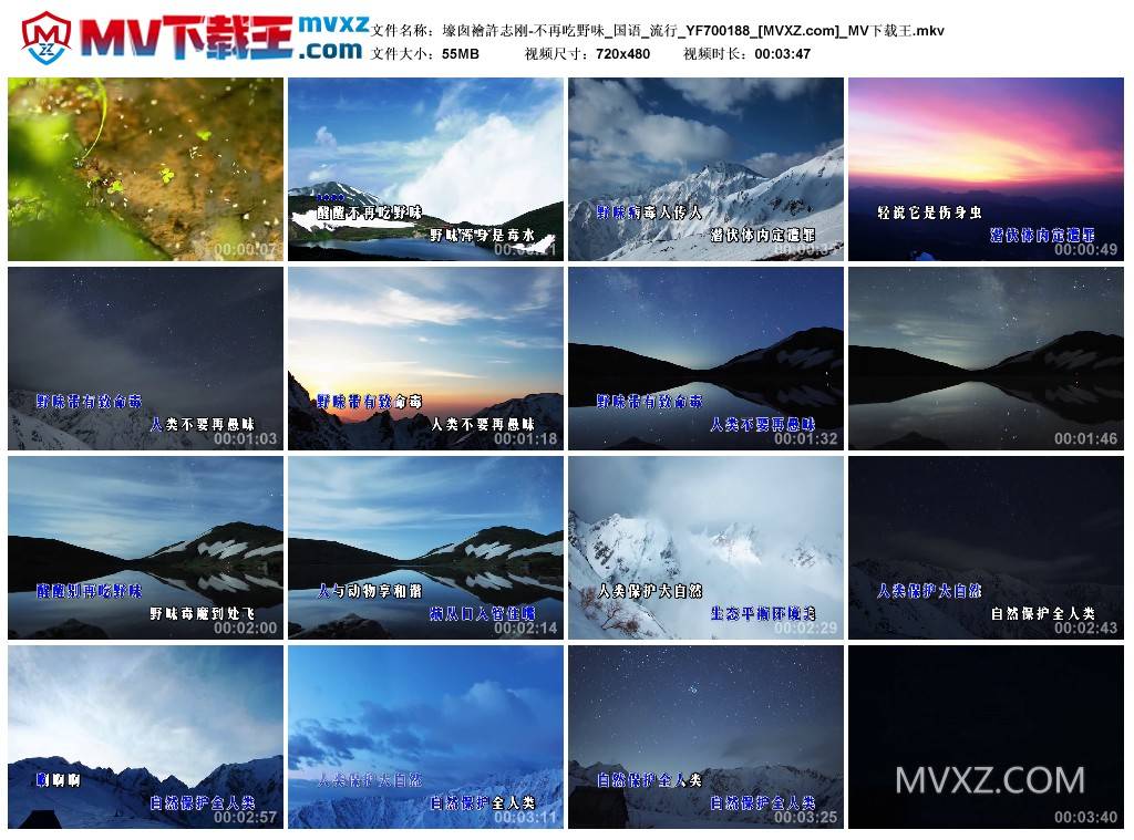 壕囱襘許志刚-不再吃野味_国语_流行_YF700188
